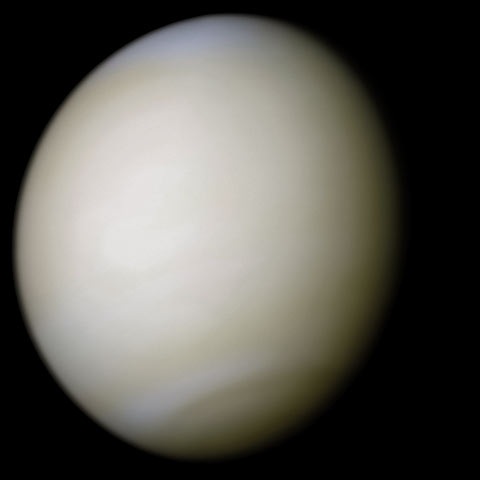 Venus.